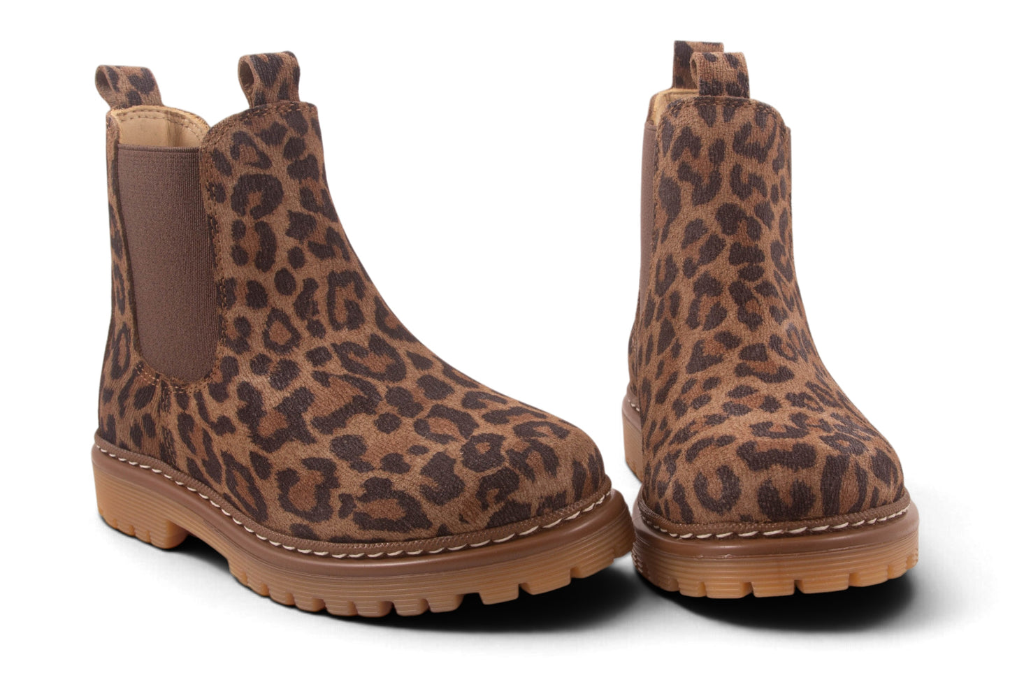 Leopard Stoere Zool